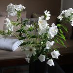 weißer Blumenstrauß - Cosmea - Glockenblumen - Phlox