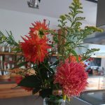 Orange Dahlien - Blumenstrauß - Herbststrauß