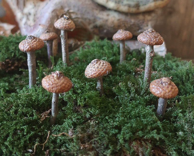 Pilze aus Eichelhütchen und Stöcke - Basteln mit Naturmaterialien
