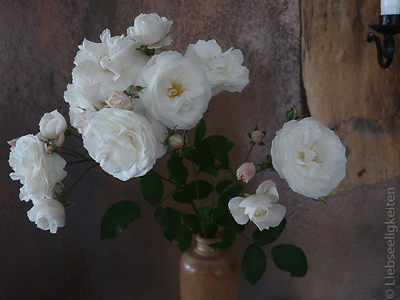 Rosen - Blumenstrauß - weiße Rosen