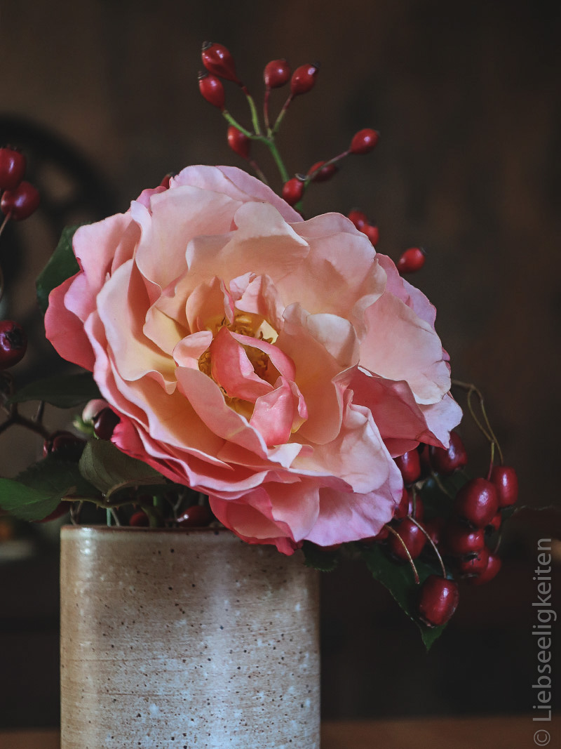 Rosenblüte mit Beeren- Blumen - Blumenstrauß