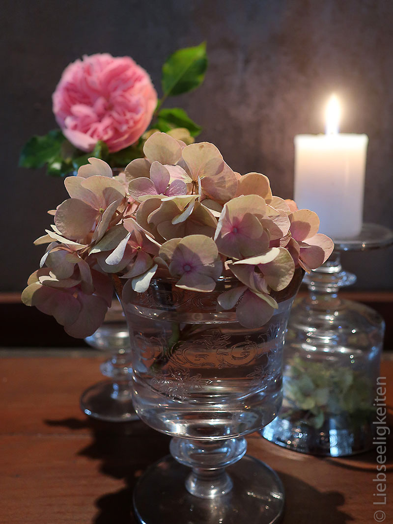 hortensienblüte im glas - kerze - rosenblüte