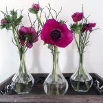 drei kleine vasen mit anemonen