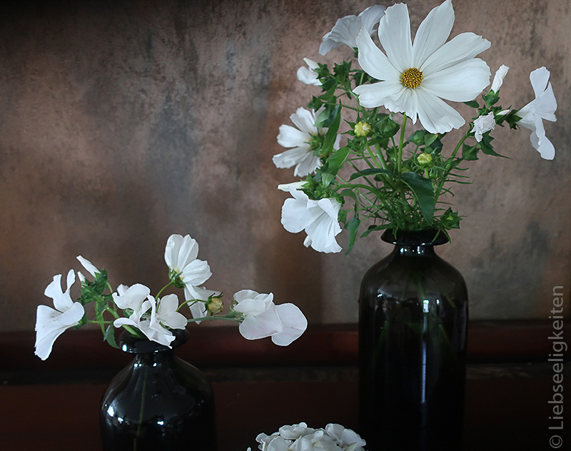 weiße Blumen - weiße Cosmea - weiße Bechermalve - weißer Phlox - weiße Wicken