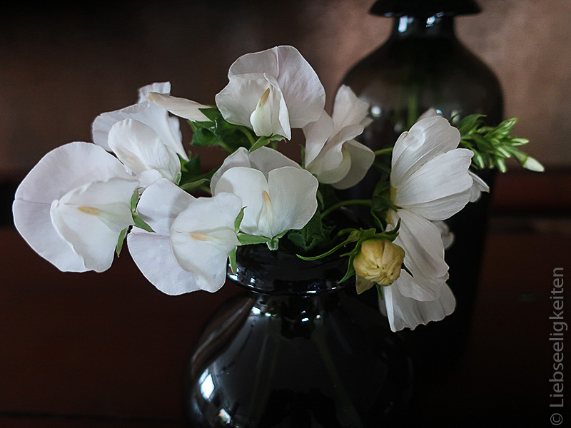 weiße Blumen - weiße Wicken und weiße Cosmea in der Vase