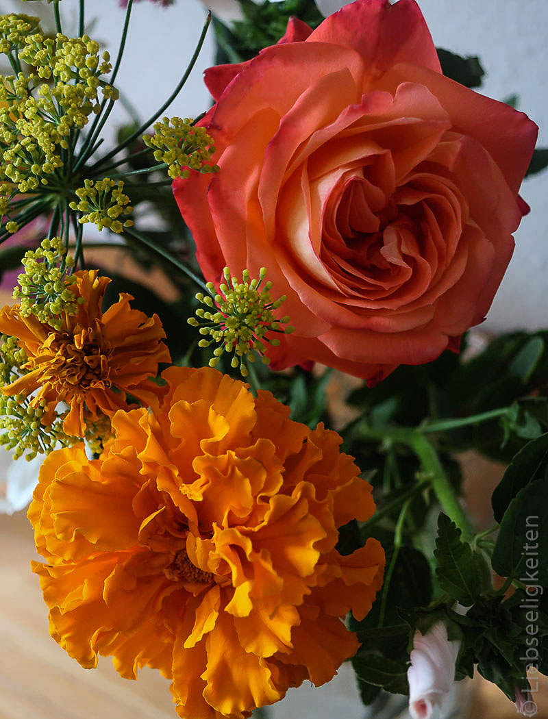 Orange Rosenblüte und Blüte der Tagetes