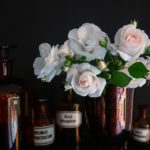 Blüten der Rose Asperin in der Vase und Apothekerfläschchen
