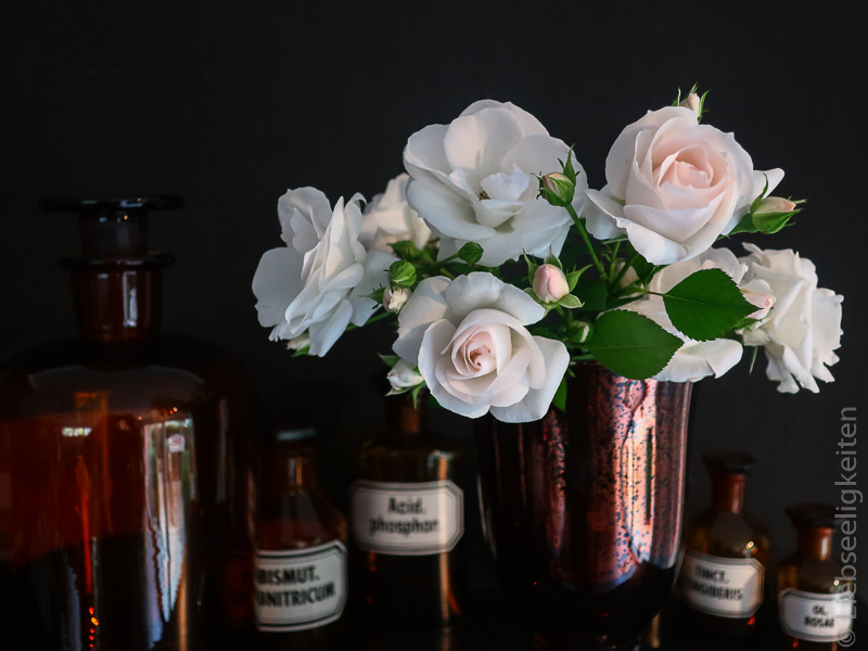 Blüten der Rose Aspirin in der Vase und Apothekerfläschchen