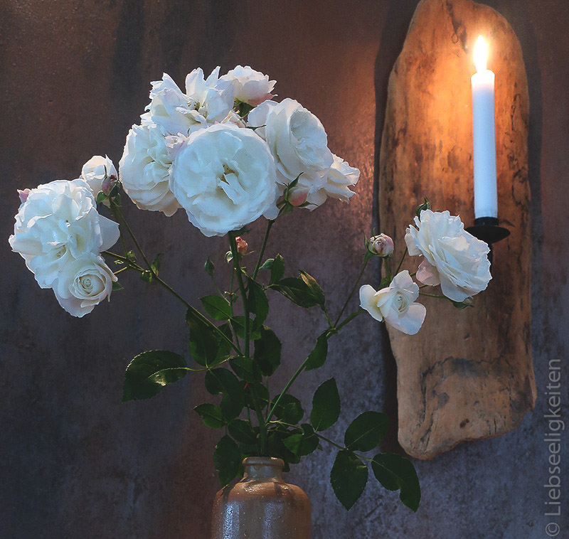 Rosenzweig - weiße Rosen - Rose Schneewittchen