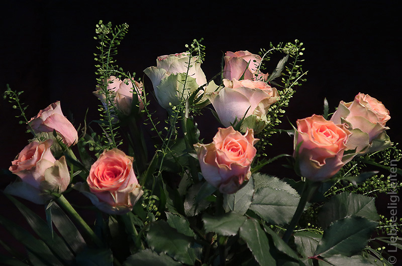 rosenstrauß - edelrosen - blumenstrauß - friday-flowerday