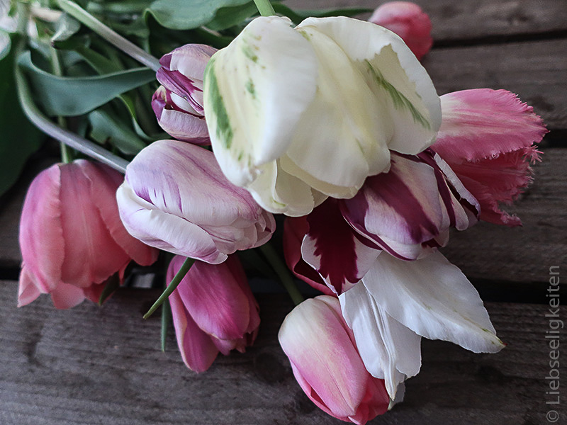 Tulpen - Tulpenstrauß - verschiedene Tulpen